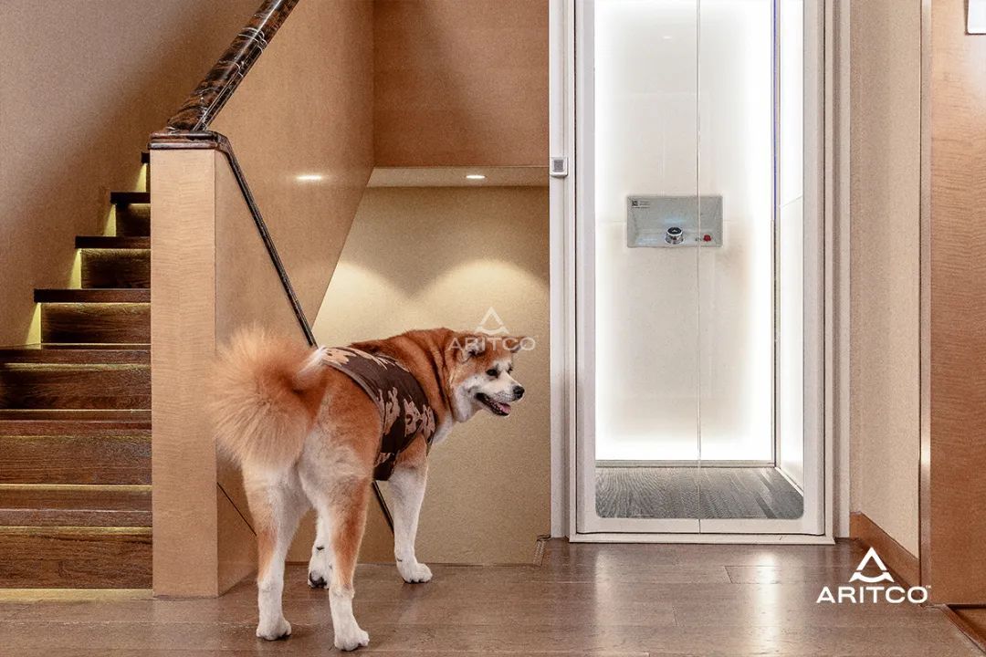 10c80753-c12b-49bd-a0b9-e22e21169e43.jpg 10c80753-c12b-49bd-a0b9-e22e21169e43.jpg